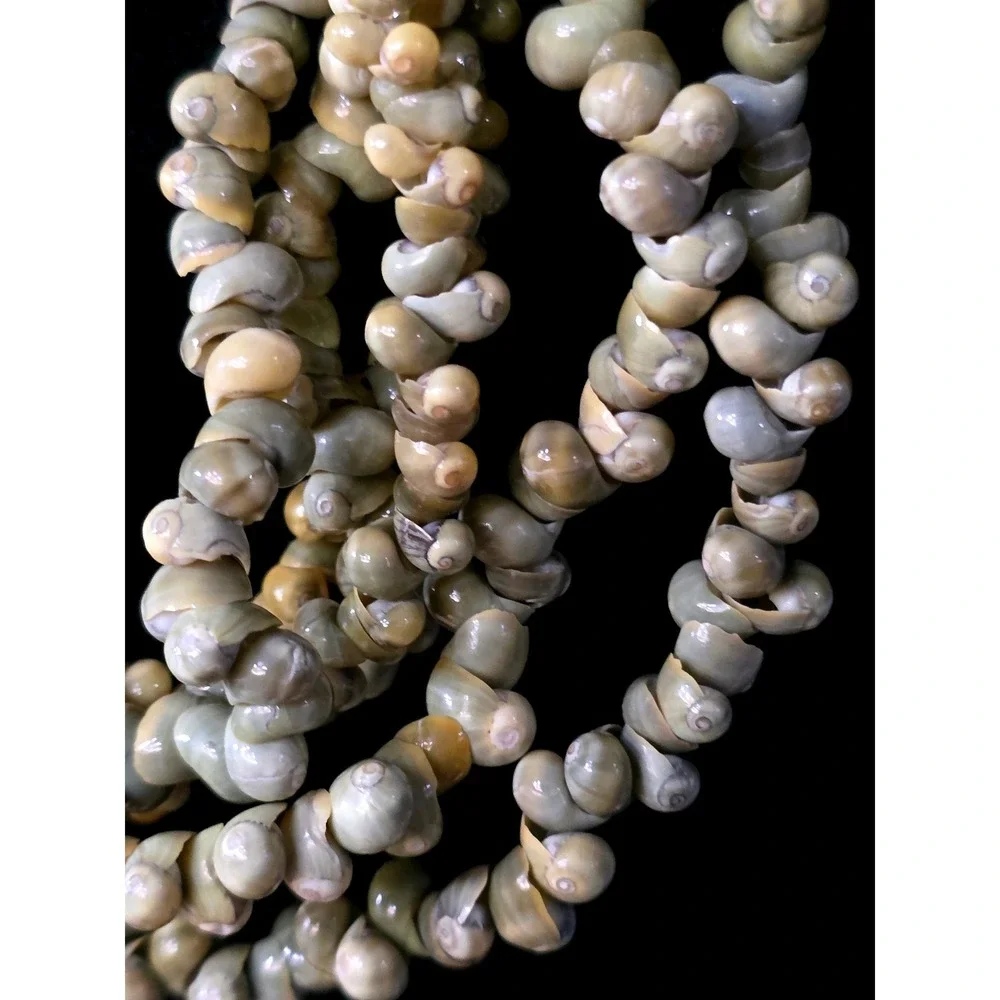 Multi Strand 6 Mini Mongo Shell Necklace Black Seed‎ Bead Accent Olive Green